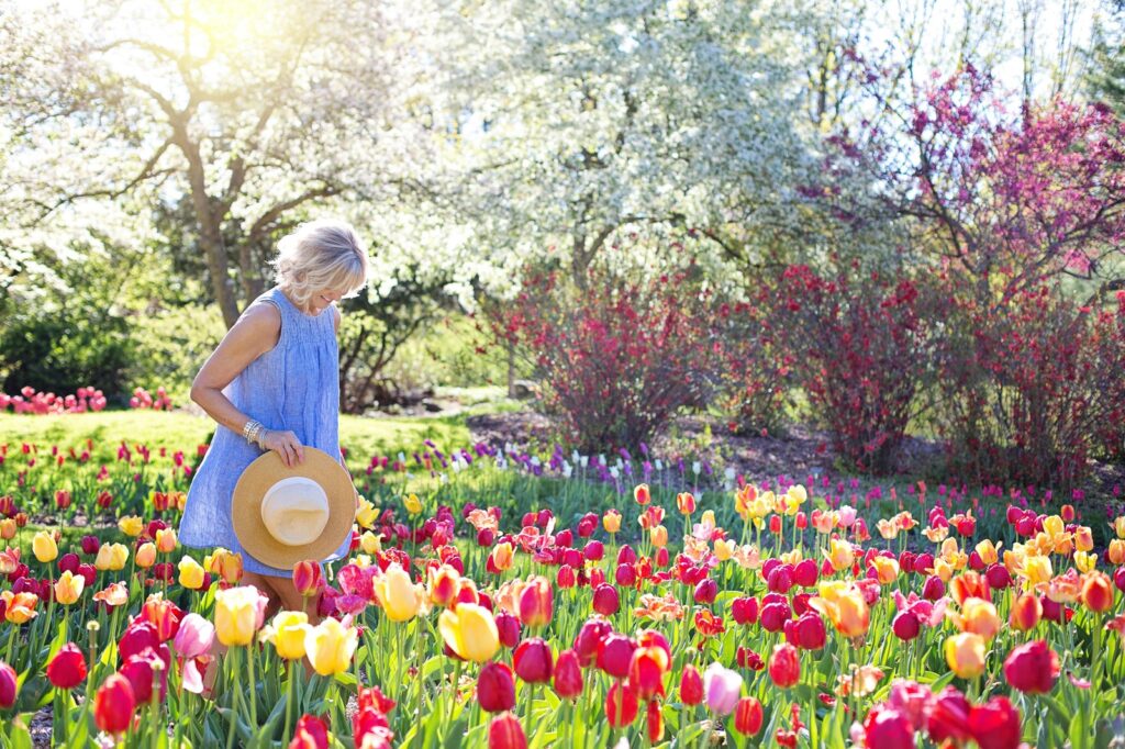 User generated content (UGC)