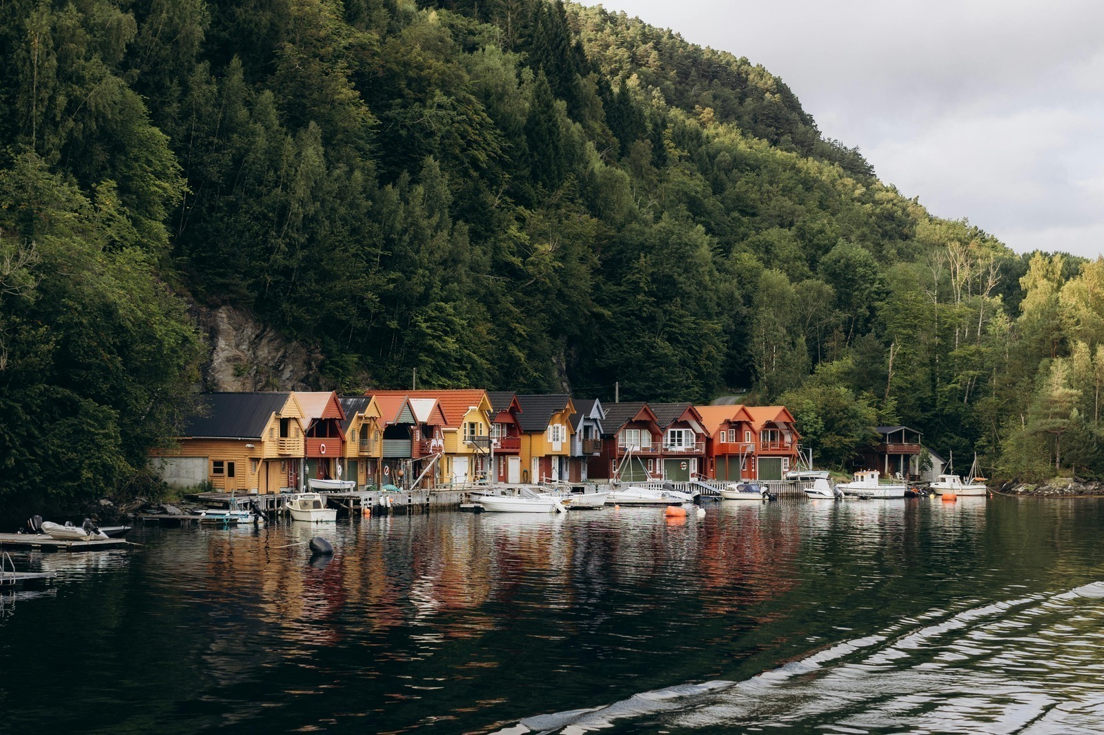 Automatizované reklamy