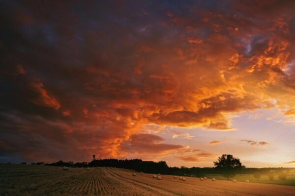 Rast, vývoj a starnutie