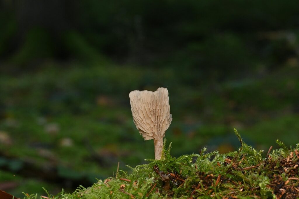 Prvá pomoc pri úrazoch