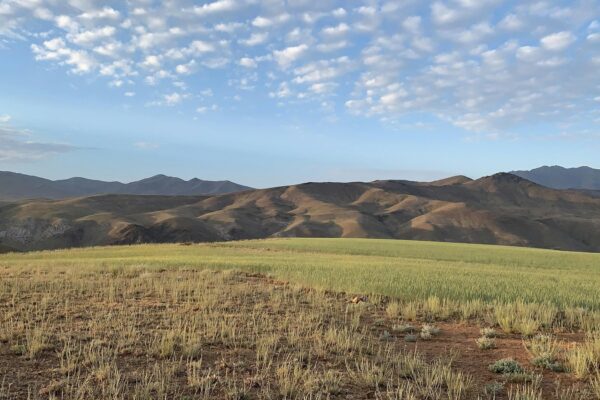 Instalace kamen připojení ke komínu