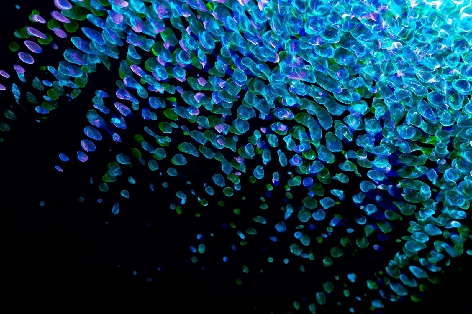 Design akustických řešení