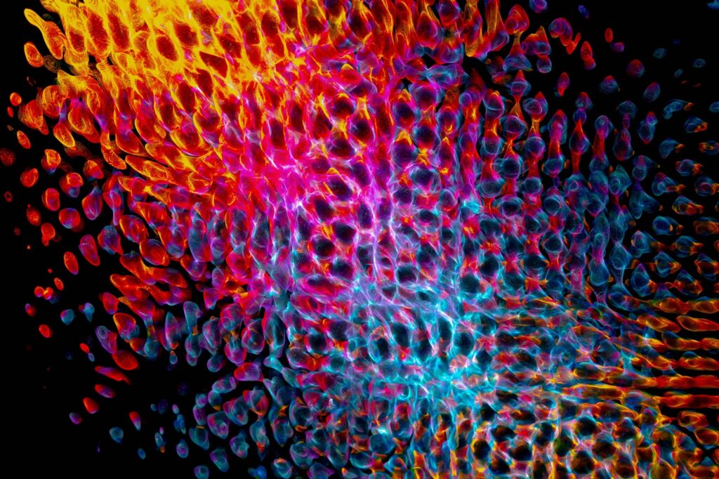 Materiály a parametry parotěsných fólií