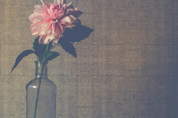 Materiály pro vstup