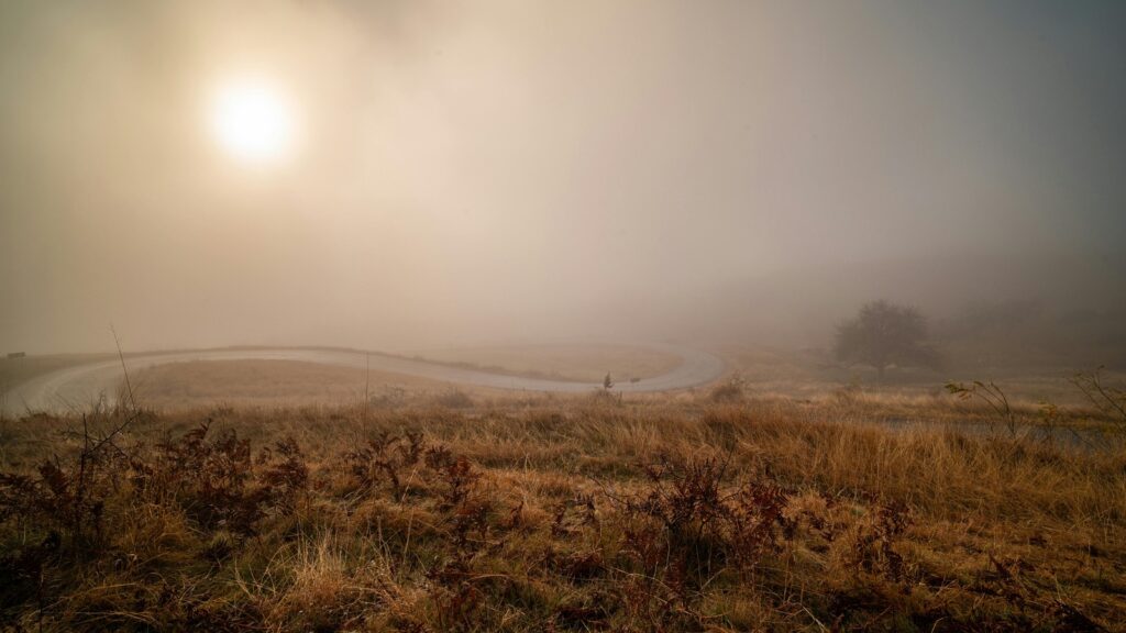 Povinnosti podnikateľov pri vedení účtovníctva