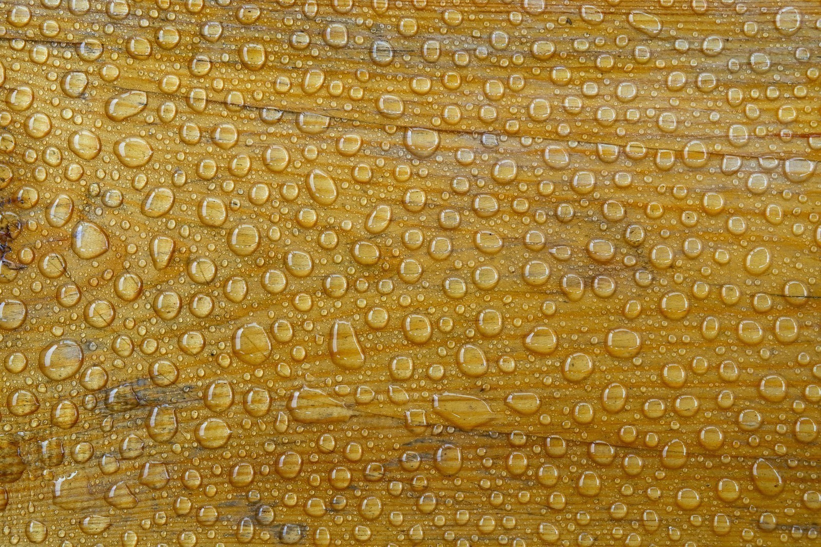 Význam výkazov pre investorov a manažment