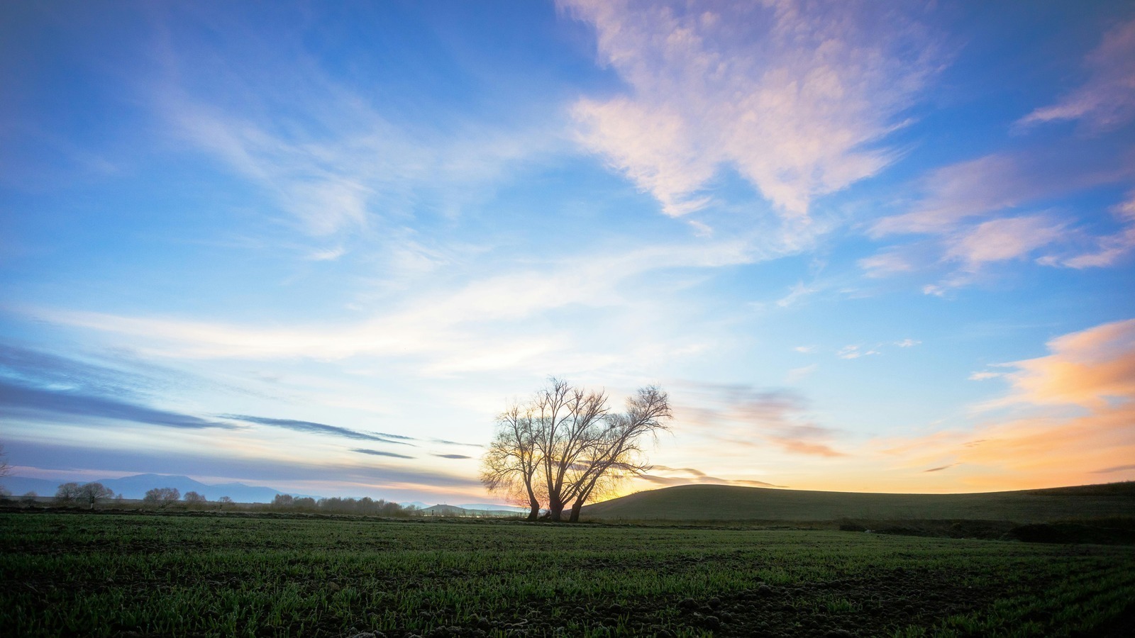 Úroková politika a marža bánk