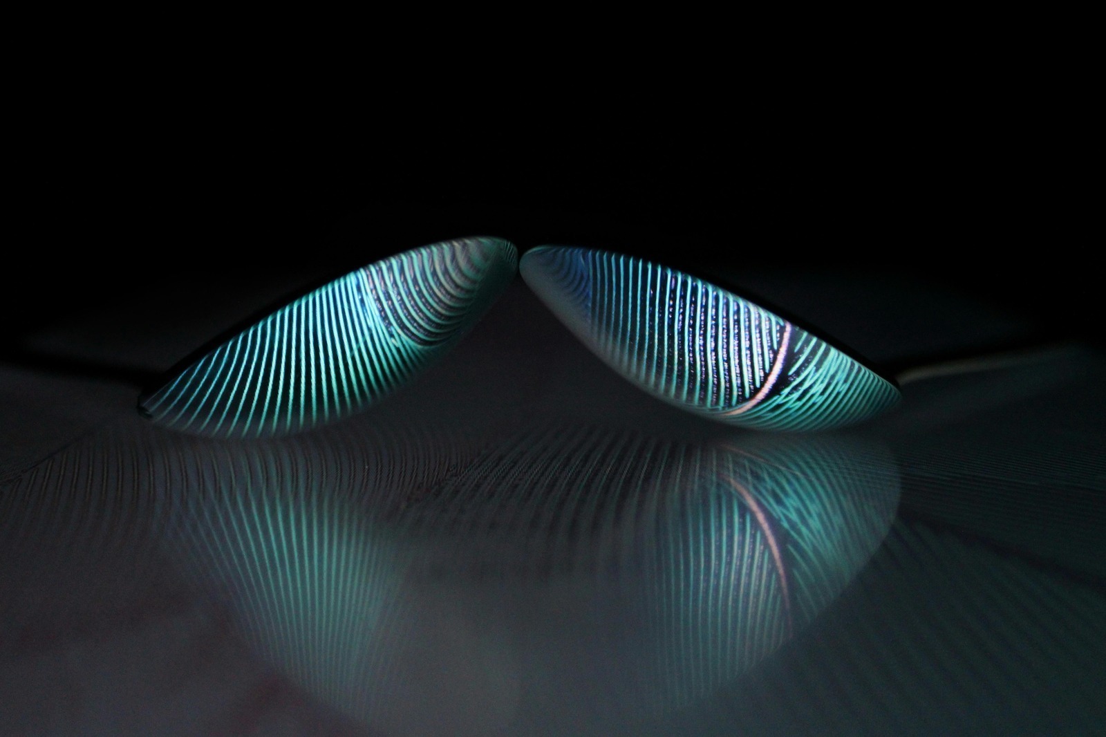 Overovanie signatárov