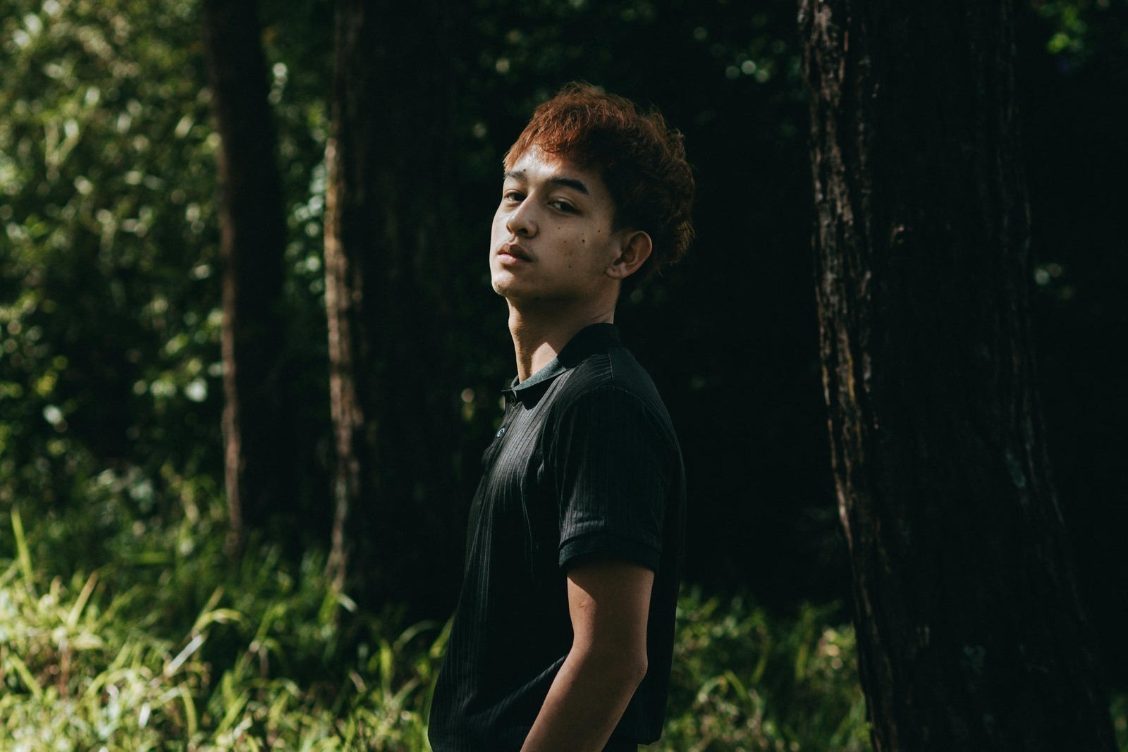 Poistná suma a poistné