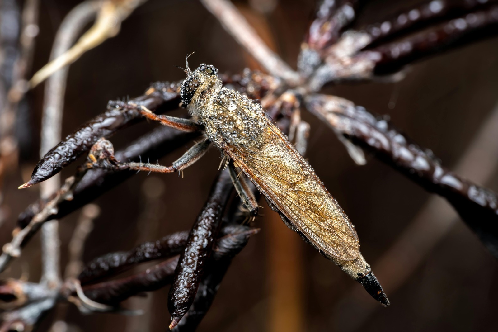 Rizikové faktory a poistné plnenie