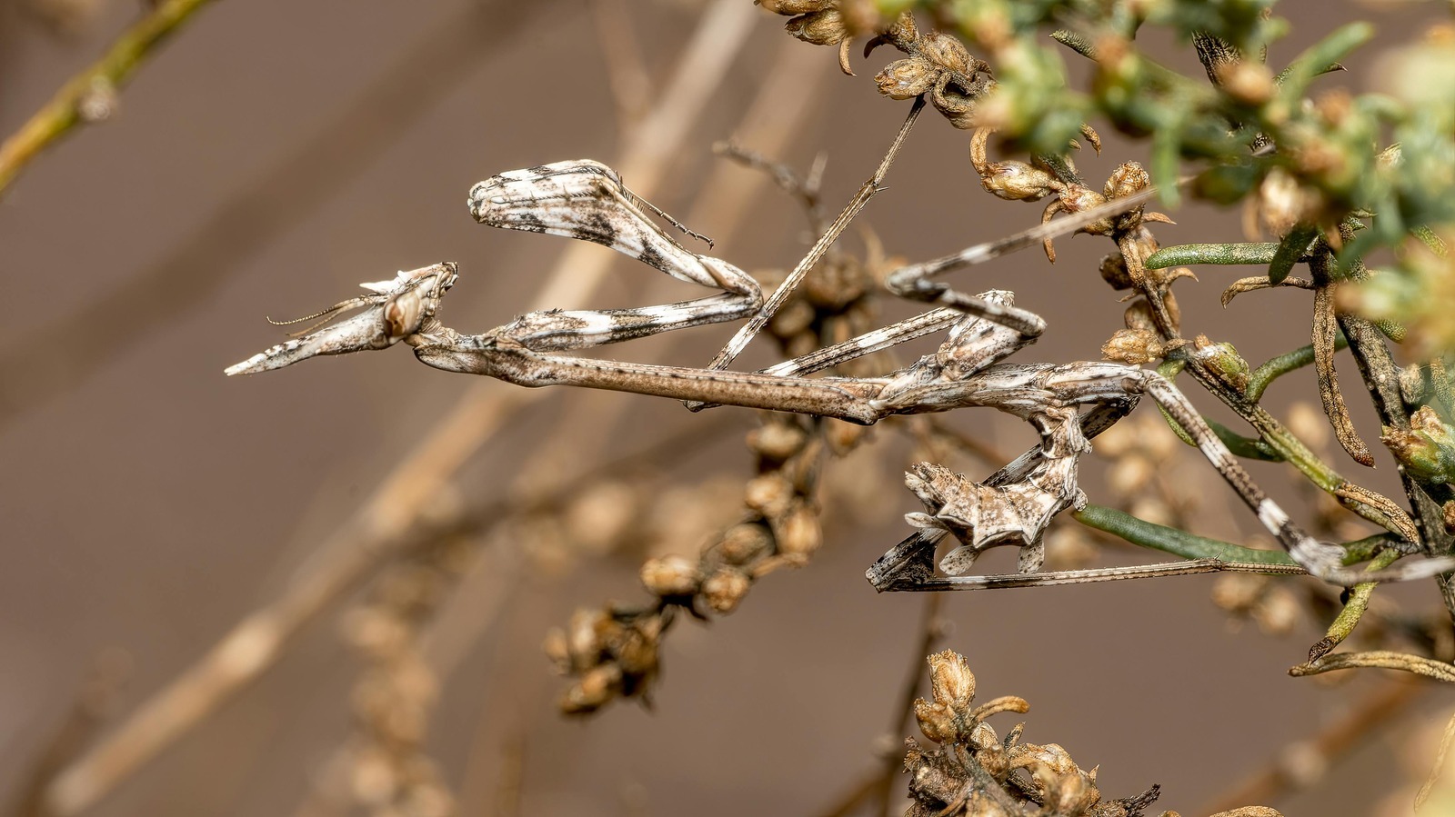 Povinné a dobrovoľné poistenia