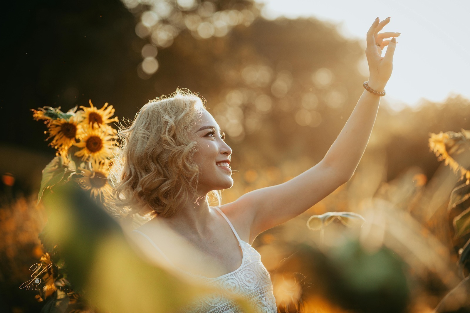 Vplyv antiky na renesanciu