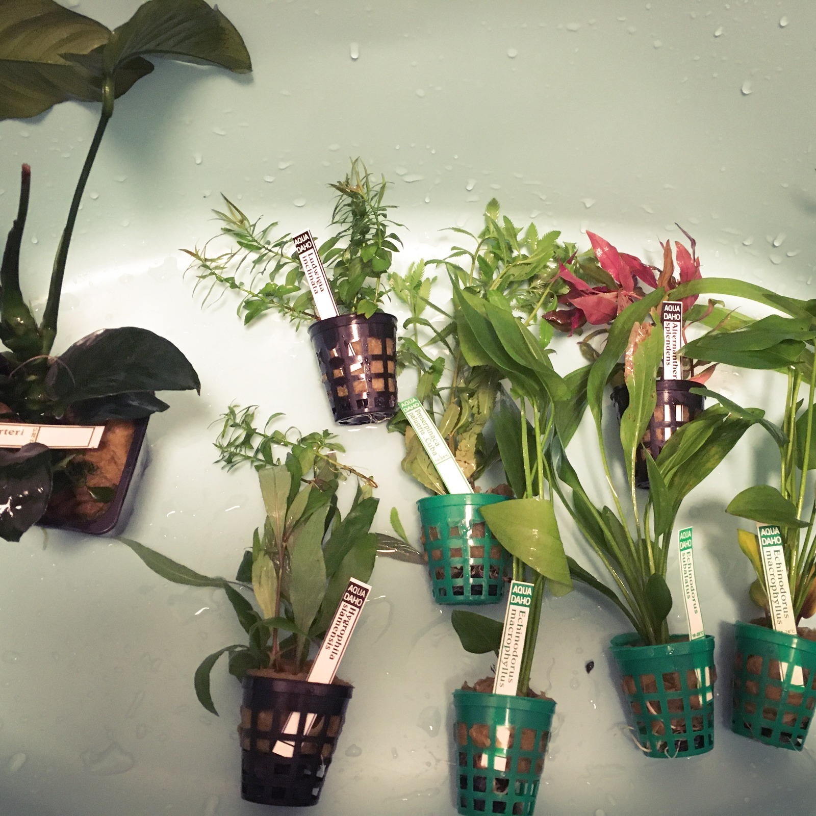 História reštaurátorskej praxe na Slovensku