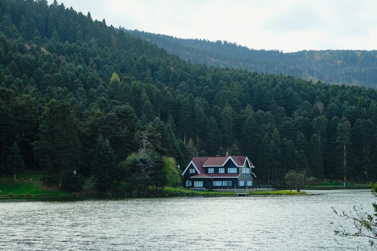 Konštrukcia a dejiny huslí