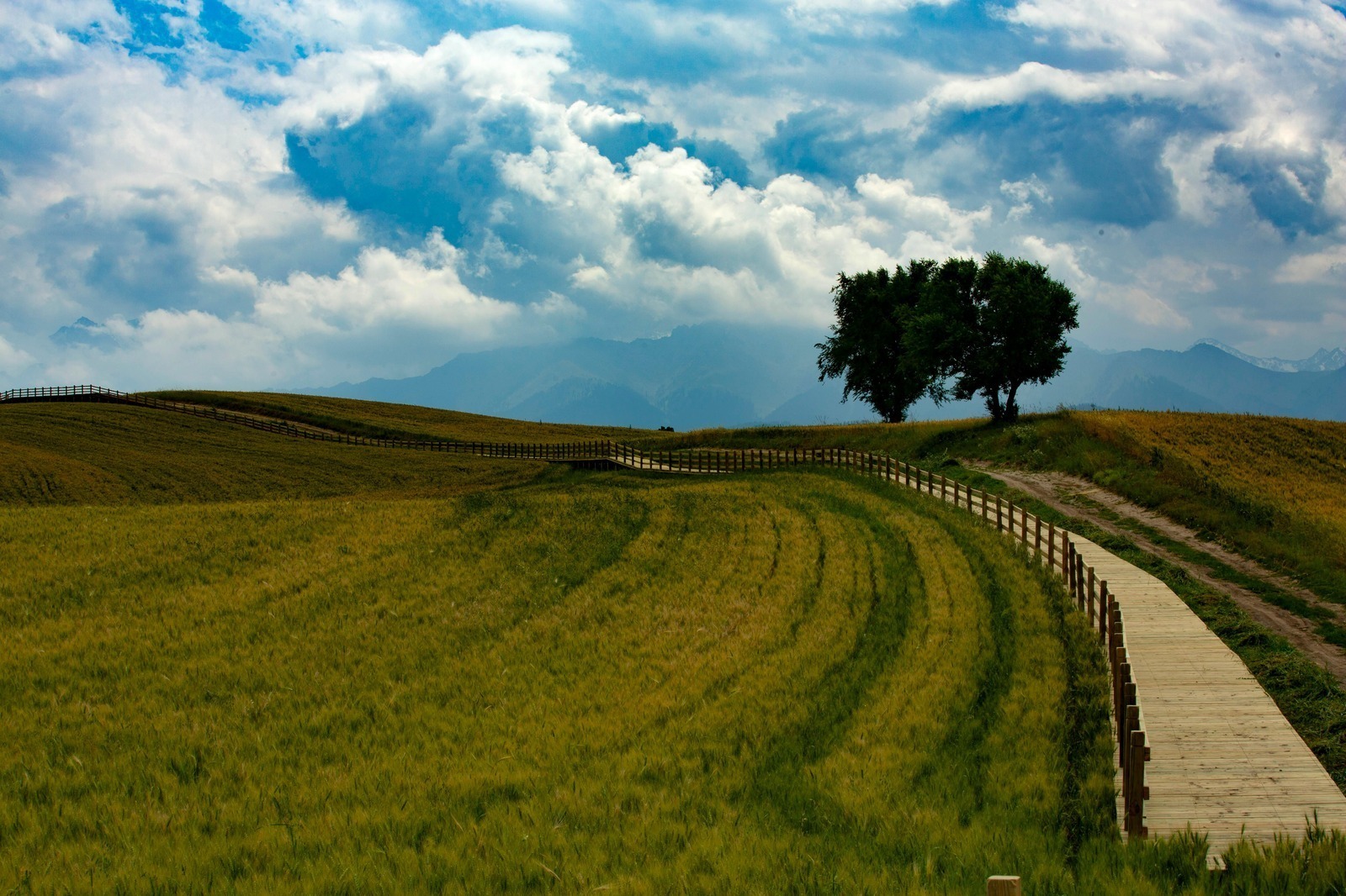 Morfologické výnimky