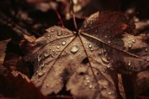 Umelecký a publicistický štýl