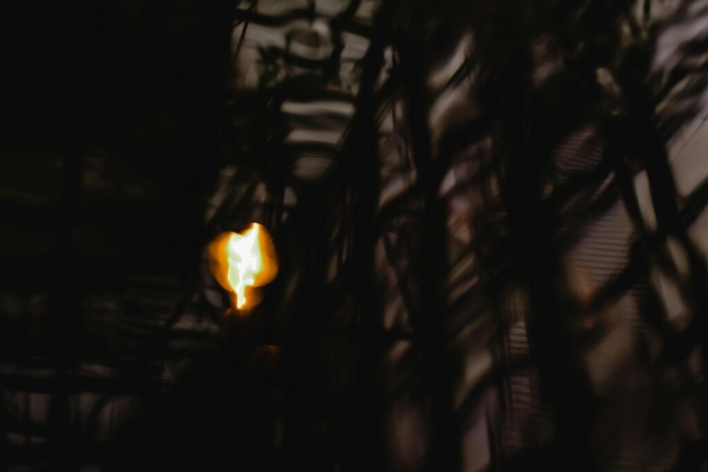 Anti-fraud na formulároch