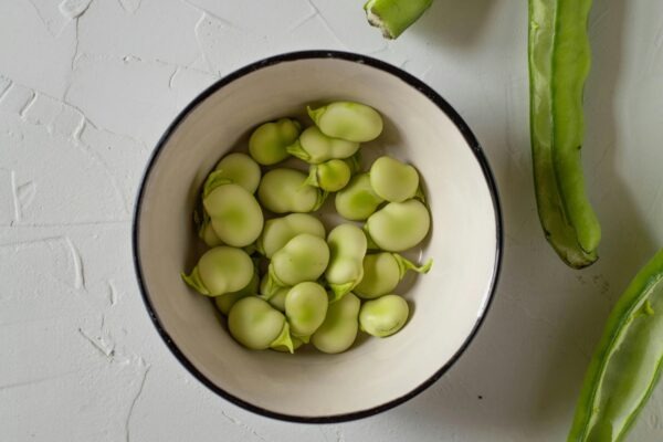 Émile Zola a sociálny román