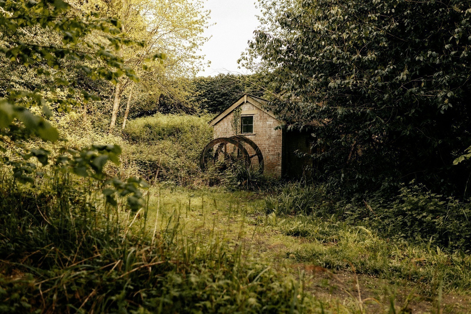 Koloniálna skúsenosť a protest
