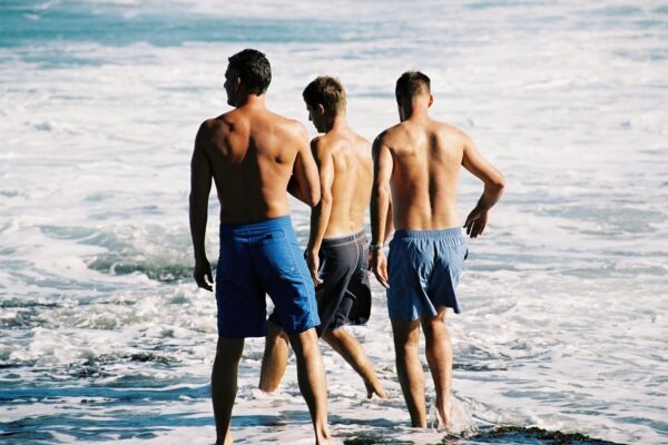 Zmyslová integrácia