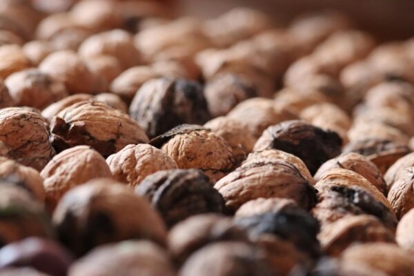 Žľazy s vnútorným vylučovaním