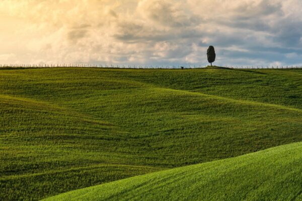 Menštruačný cyklus a plodnosť