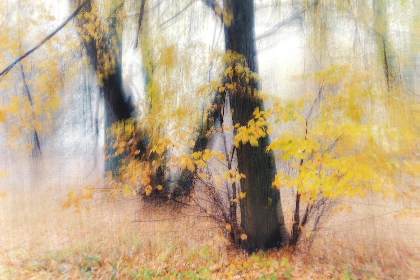 Civilizačné choroby