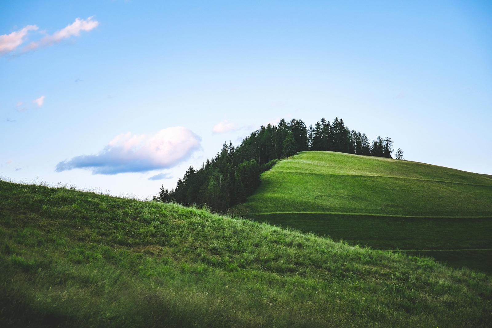 Stigma duševných porúch