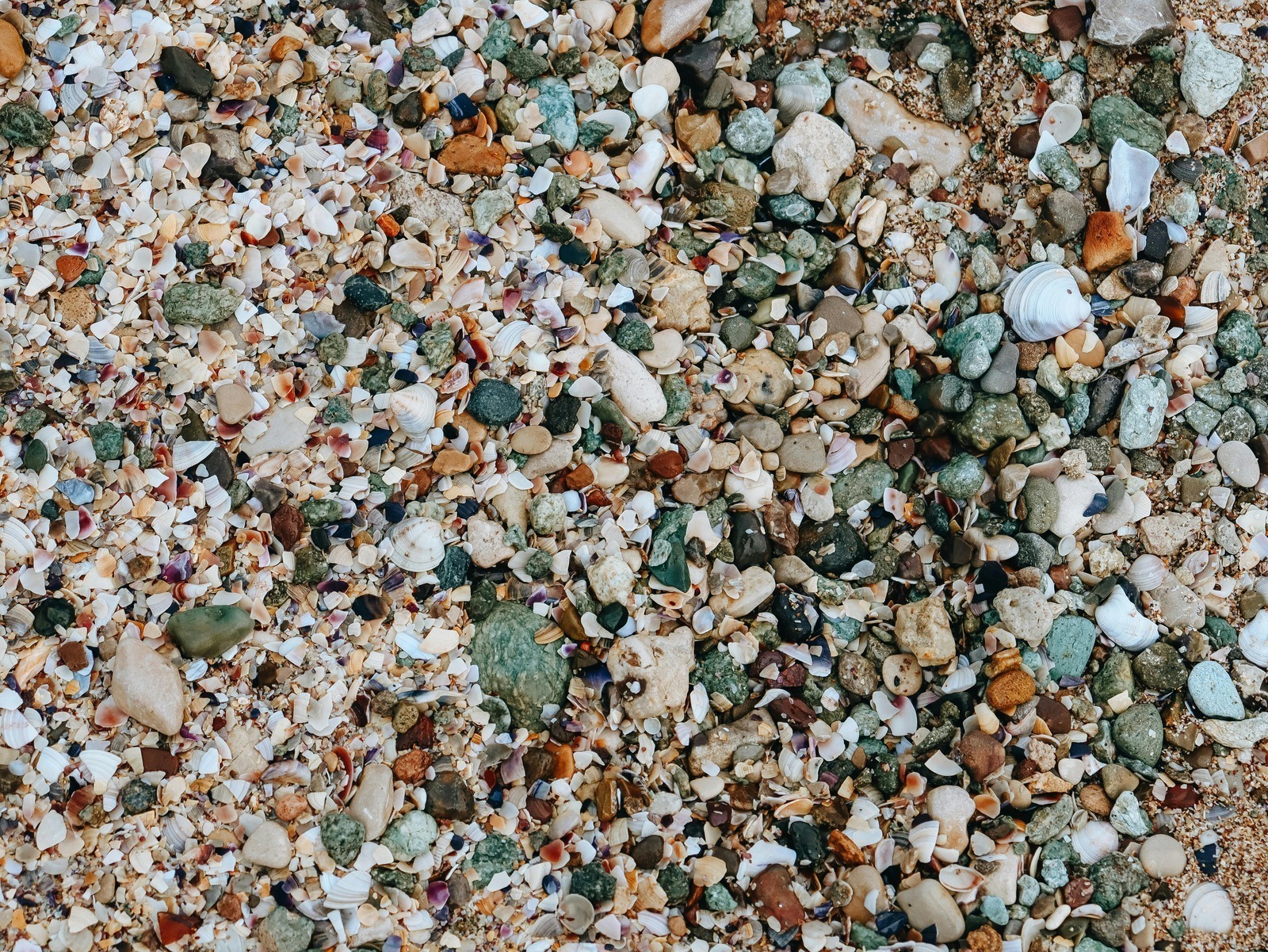 Homeopatia akupunktúra bylinky