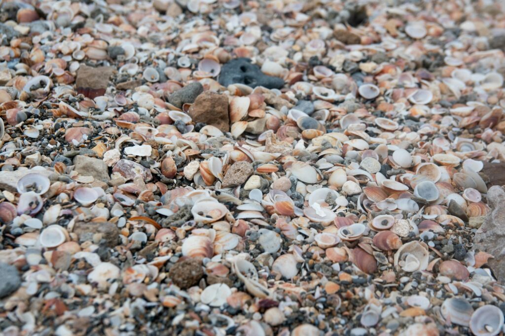 Pohyb a prevencia chorôb