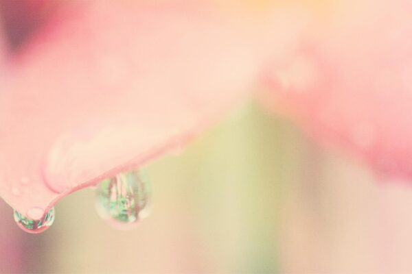 Bezpečné saunovanie