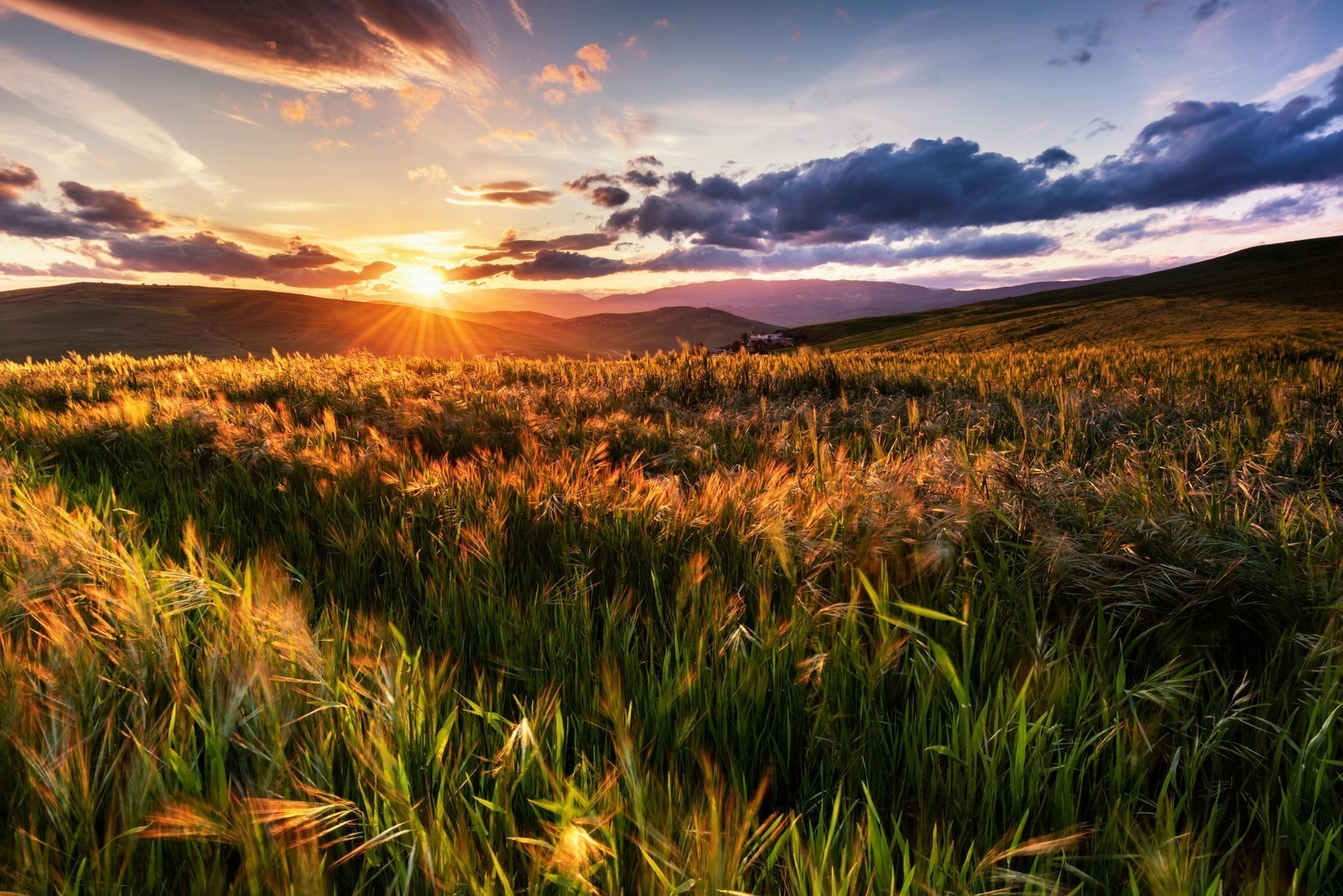 Tuky - dobré, zlé a esenciálne