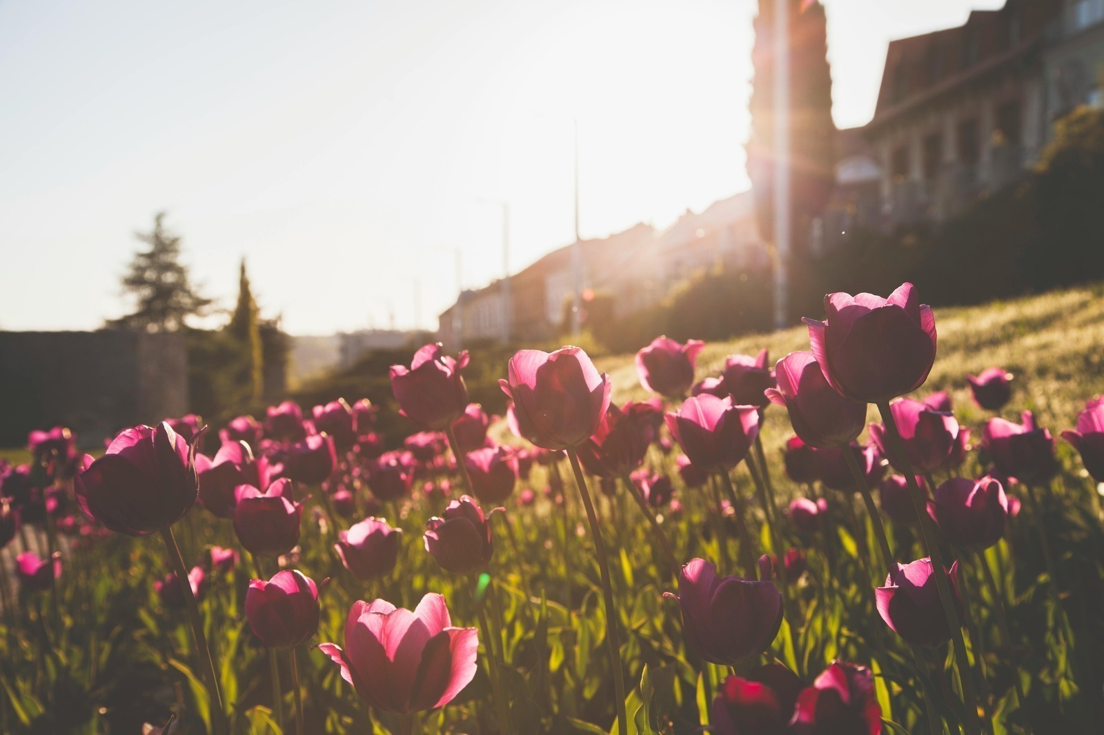 Offline vs online prístup