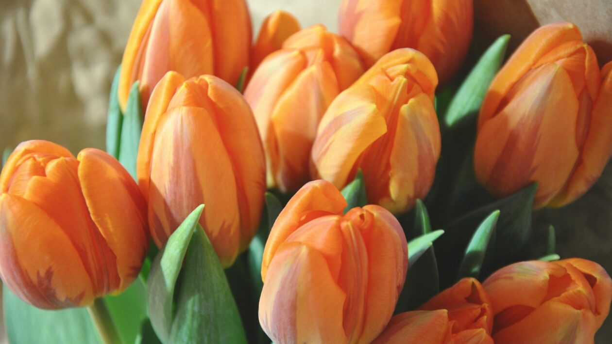 Psychologické rozhodovanie