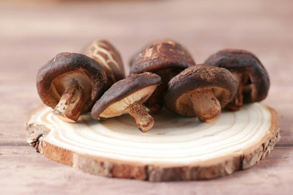 Nano, mikro a makro influenceri