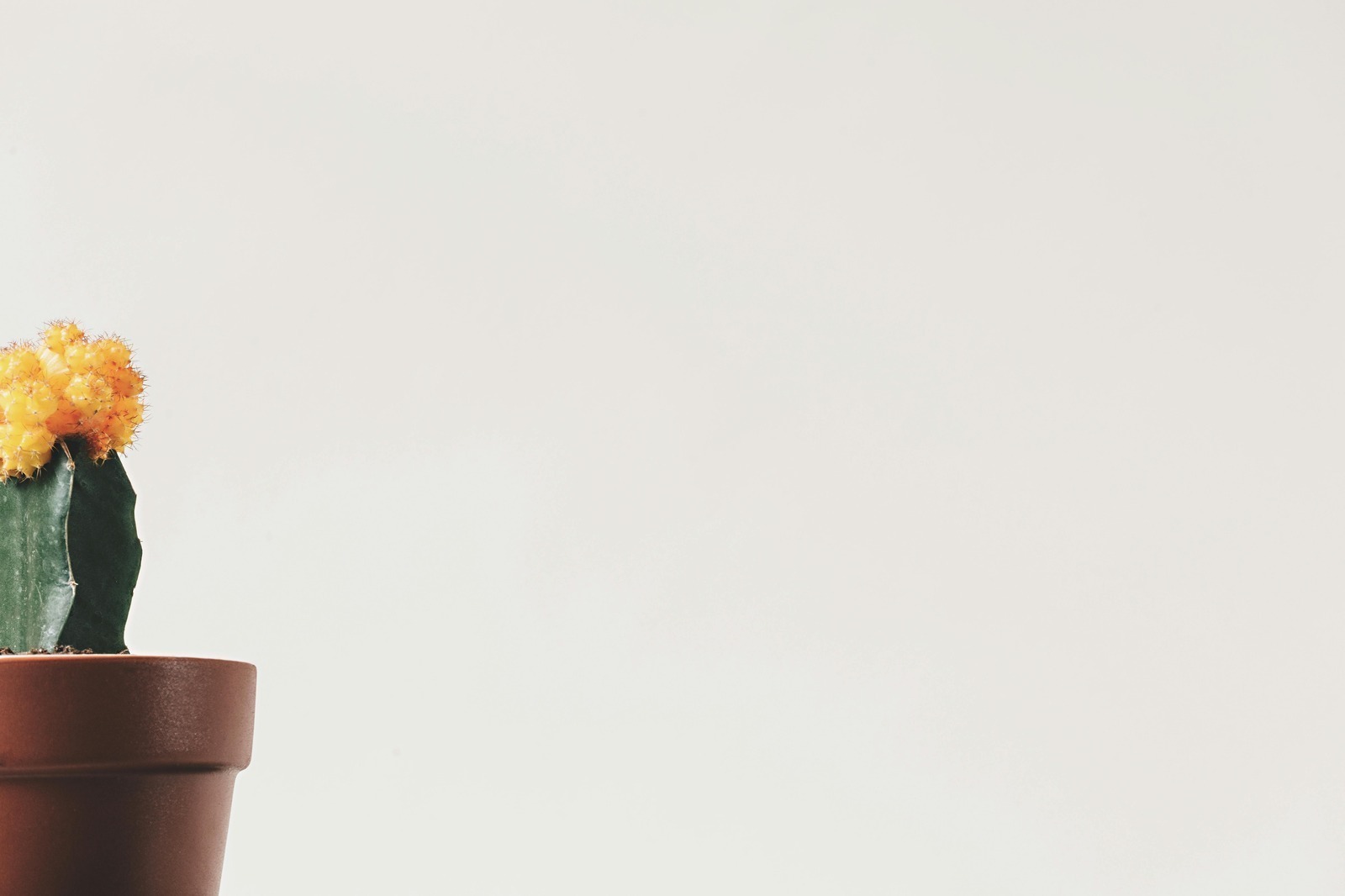 Autenticita v udržateľnosti