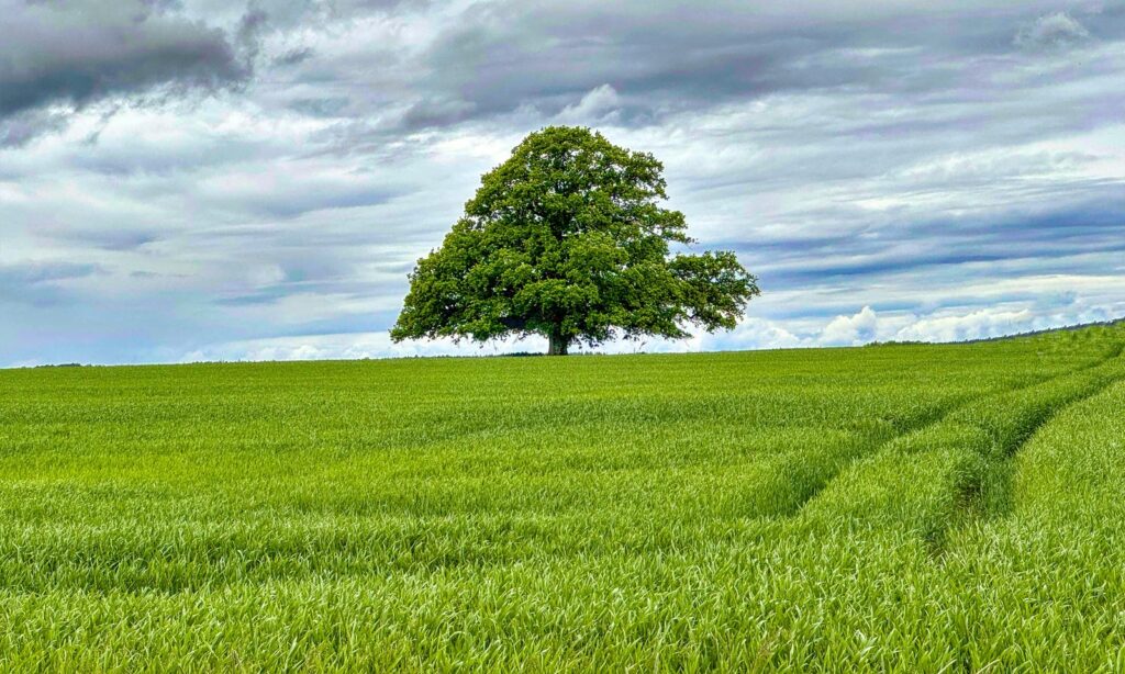 Systémové myslenie