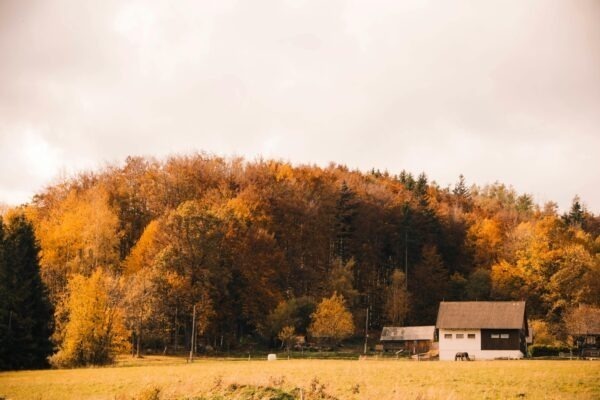 Skupinové rozhodovanie