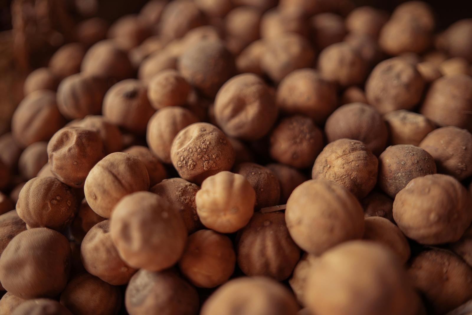 Chyby v rozhodovaní