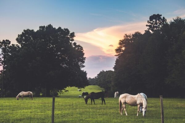 Strategické plánovanie a rozhodovanie