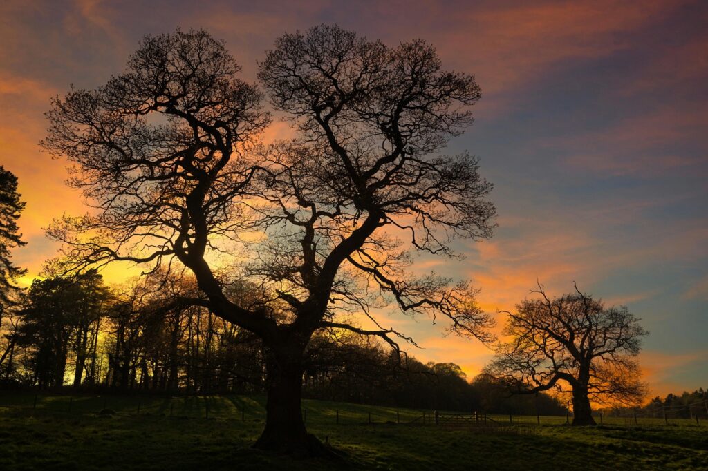 Prepojenie výkonu s odmeňovaním