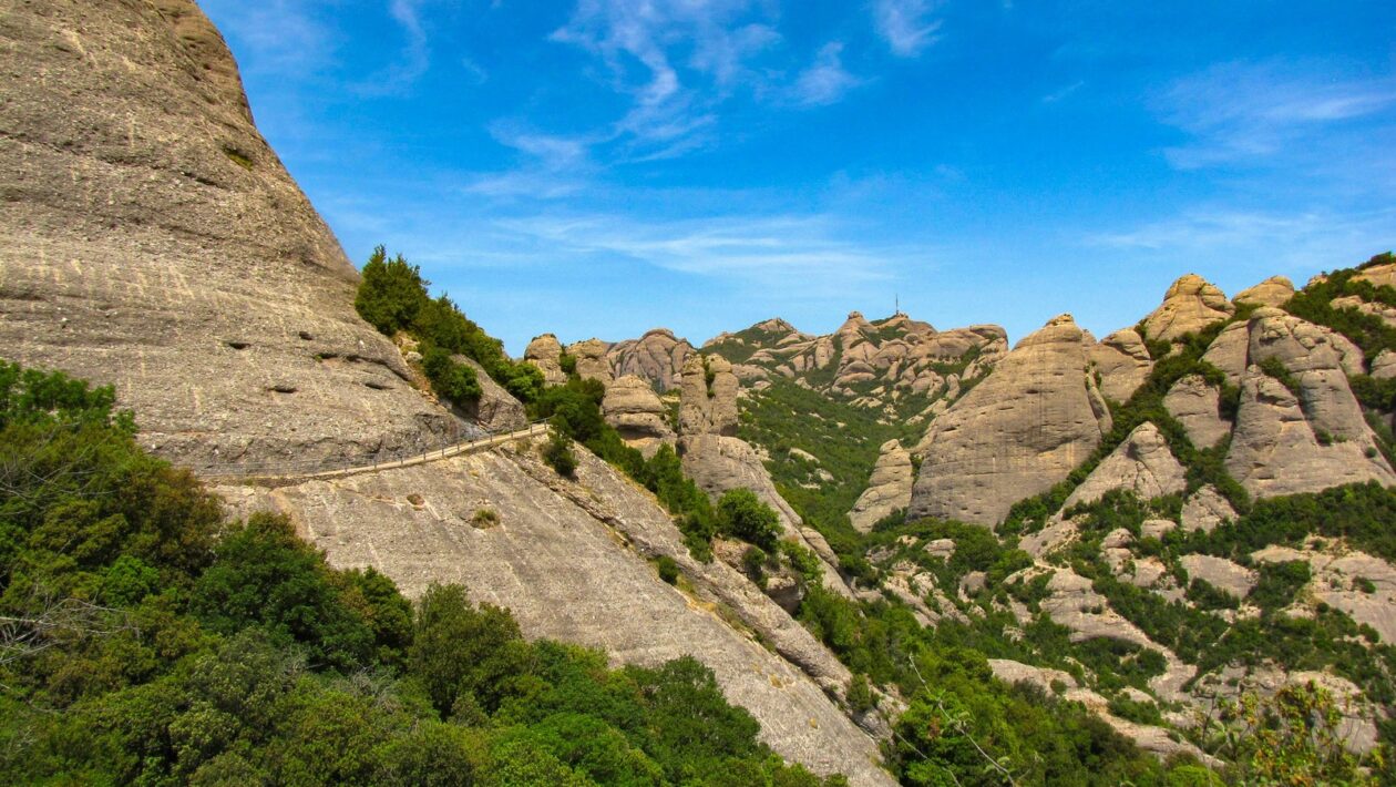 Analýza nákladov a výnosov