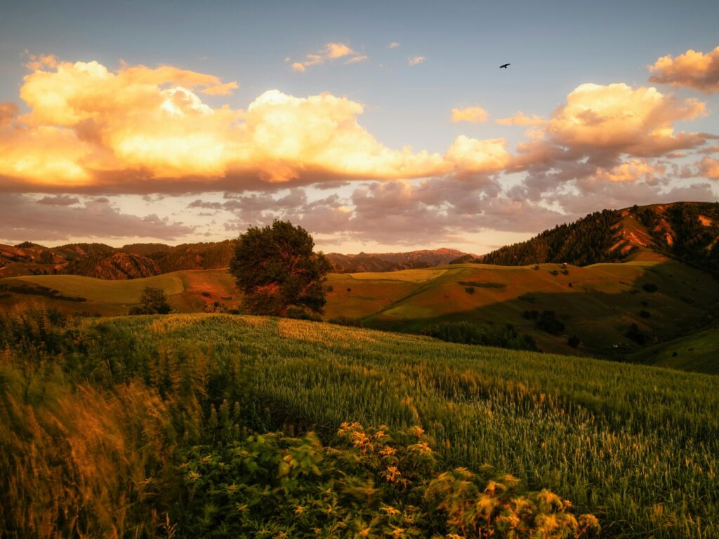 Vplyv digitalizácie na produktivitu