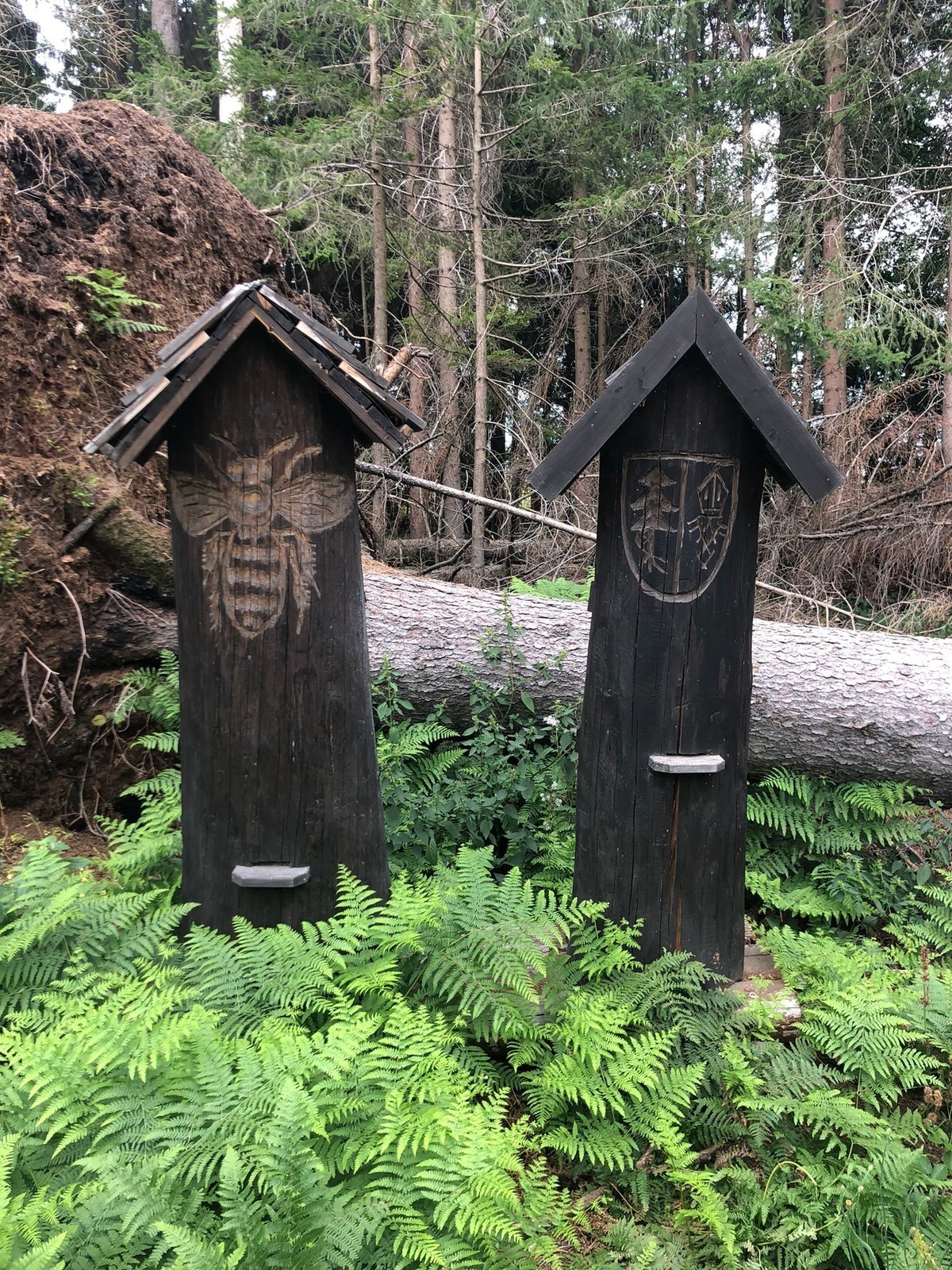 Štandardy ASTM/RTCA pre UAS