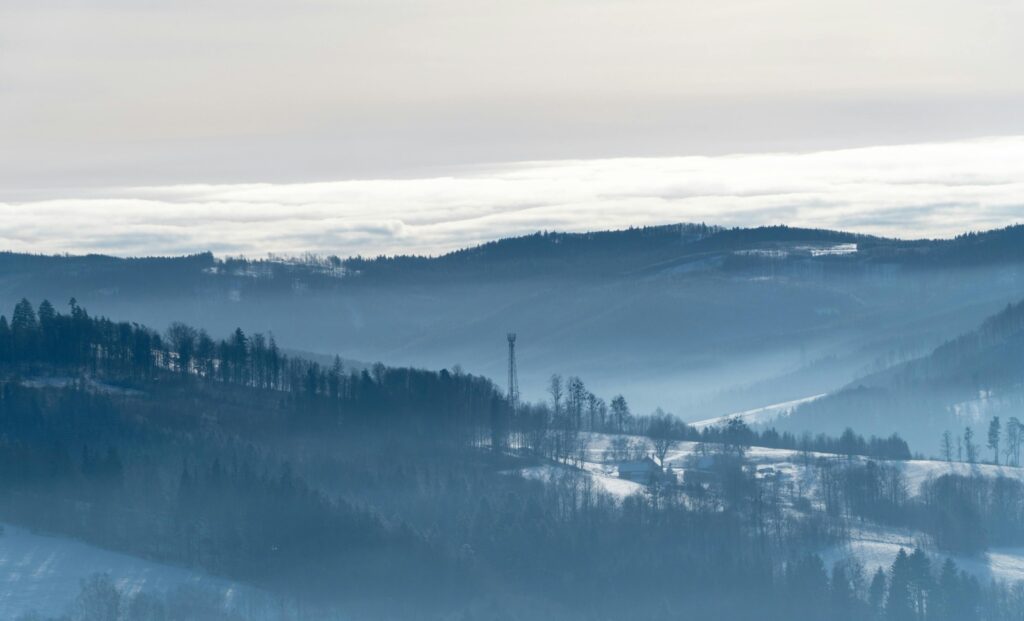Čisté áno/nie