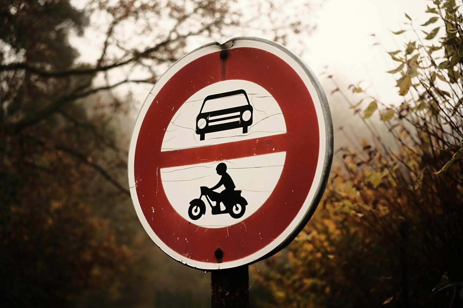 Referenčné manažéry