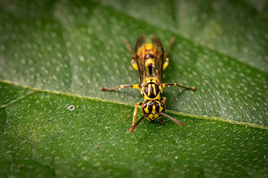 Nahrávky prednášok etika