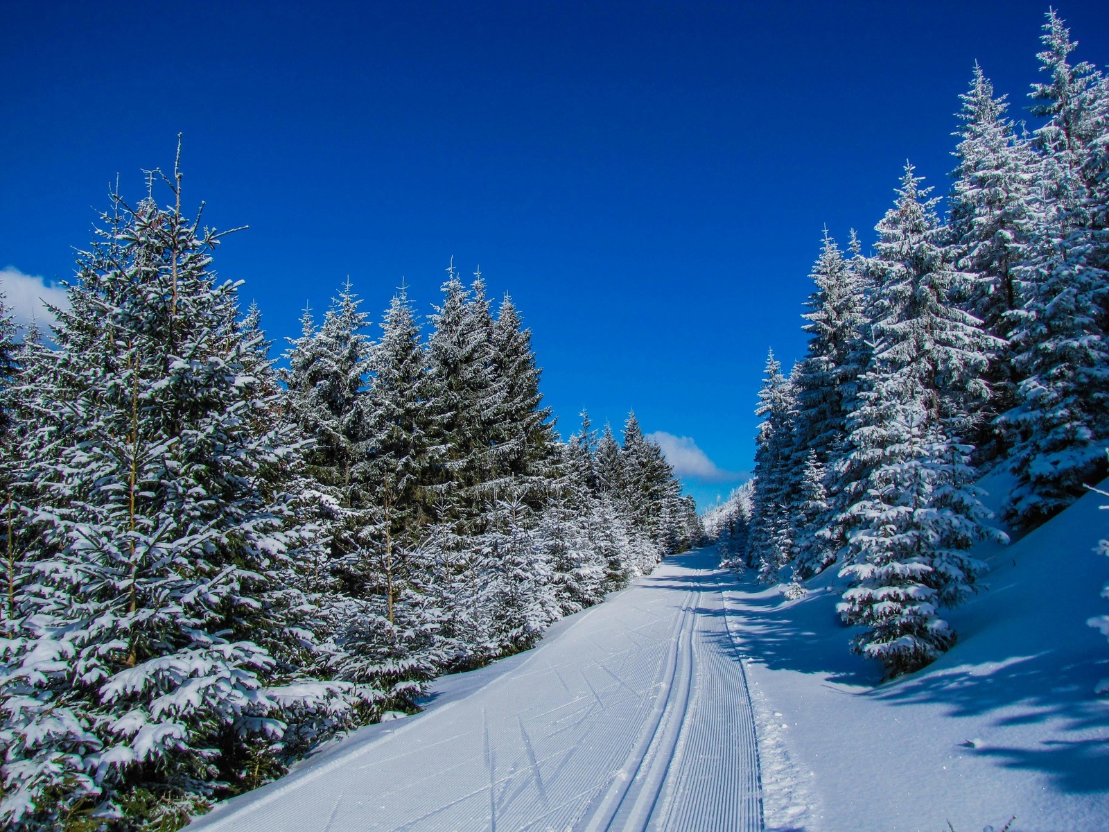 Školský kódex cti